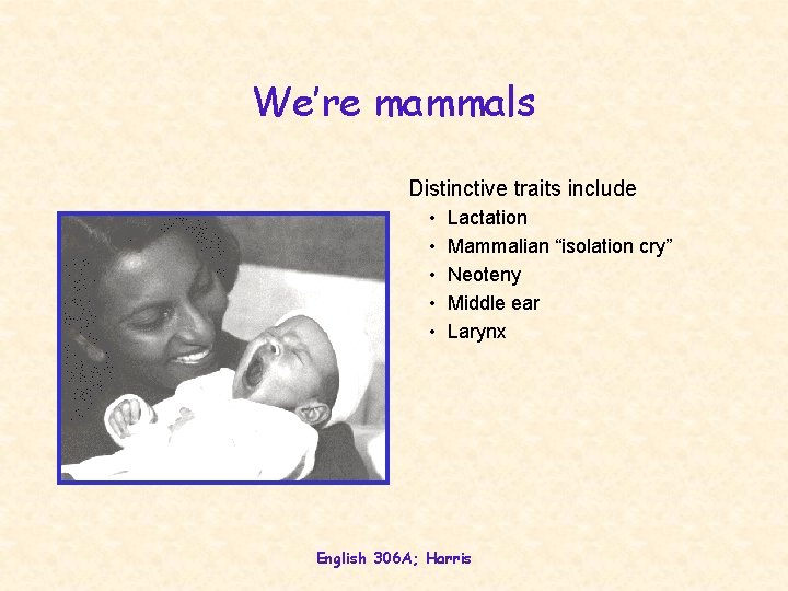 We’re mammals Distinctive traits include • • • Lactation Mammalian “isolation cry” Neoteny Middle