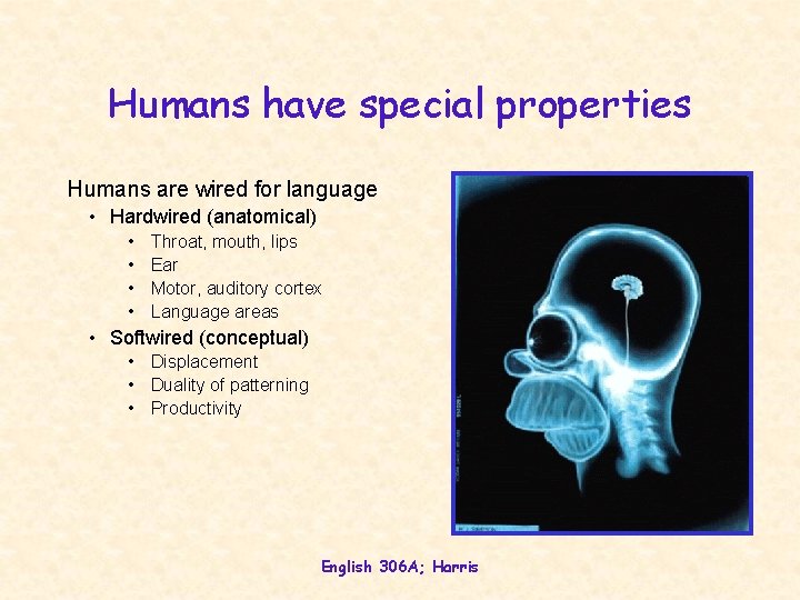 Humans have special properties Humans are wired for language • Hardwired (anatomical) • •