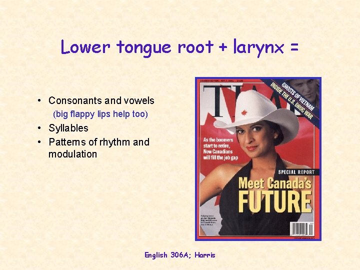 Lower tongue root + larynx = • Consonants and vowels (big flappy lips help