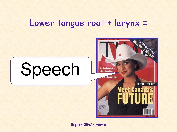 Lower tongue root + larynx = Speech English 306 A; Harris 