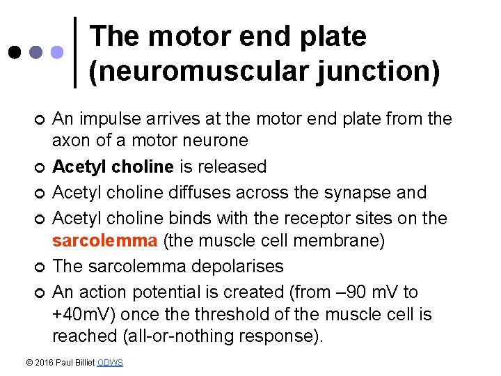The motor end plate (neuromuscular junction) ¢ ¢ ¢ An impulse arrives at the