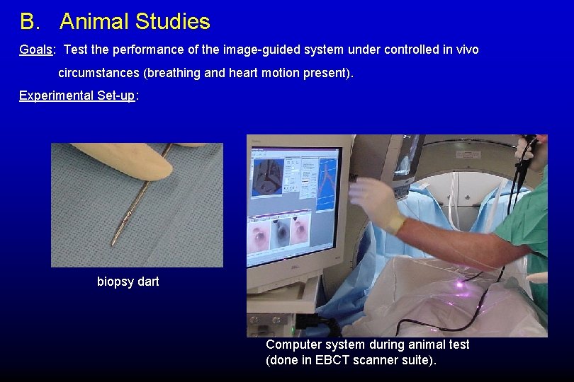 B. Animal Studies Goals: Test the performance of the image-guided system under controlled in