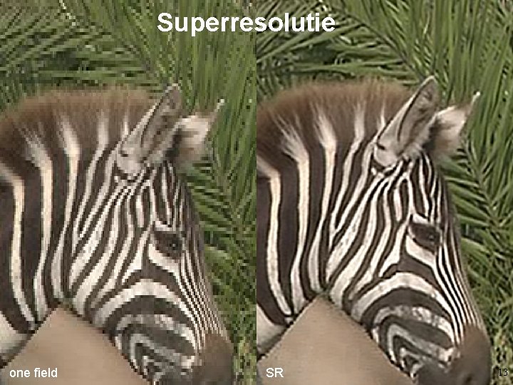 versie: 4/10/2010 one field Superresolutie © W. Philips, Universiteit Gent, 2000 -2011 SR bilinear