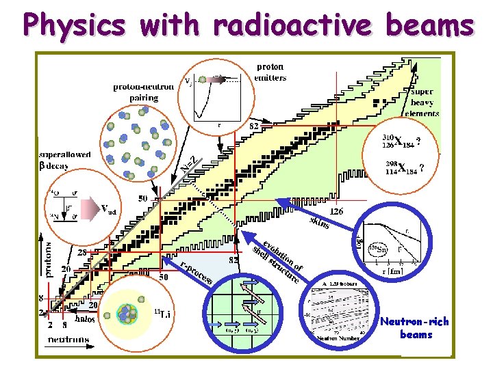 Physics with radioactive beams Neutron-rich beams 