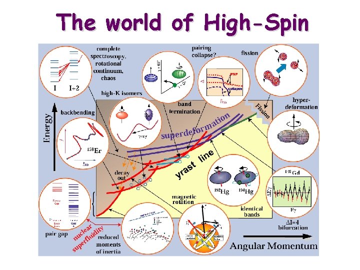 The world of High-Spin 