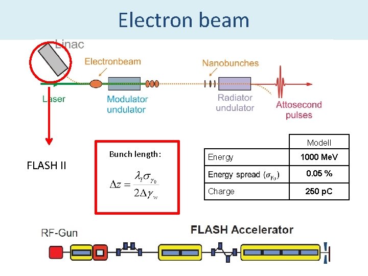 Electron beam Modell FLASH II Bunch length: Energy 1000 Me. V 0. 05 %