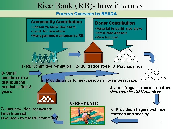 Rice Bank (RB)- how it works Process Overseen by READA Community Contribution • Labour
