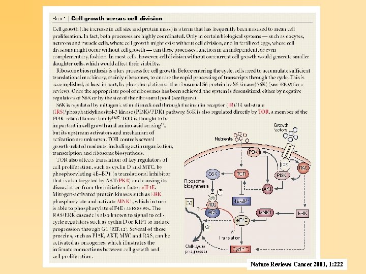 Nature Reviews Cancer 2001, 1: 222 