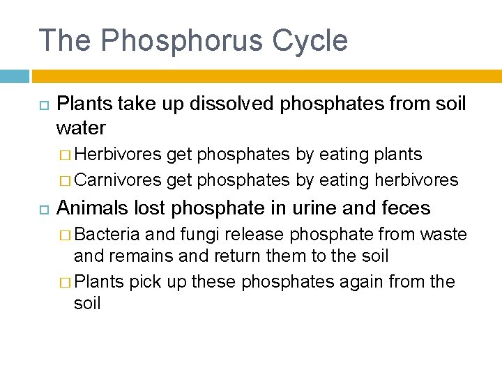 The Phosphorus Cycle Plants take up dissolved phosphates from soil water � Herbivores get
