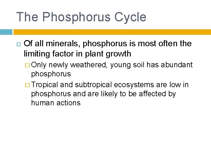 The Phosphorus Cycle Of all minerals, phosphorus is most often the limiting factor in