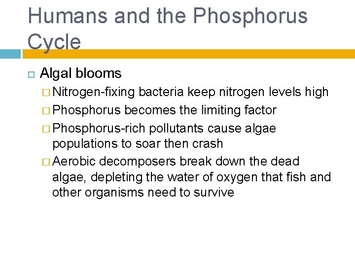 Humans and the Phosphorus Cycle Algal blooms � Nitrogen-fixing bacteria keep nitrogen levels high