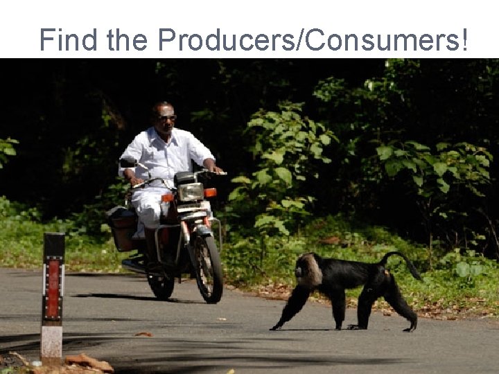 Find the Producers/Consumers! 