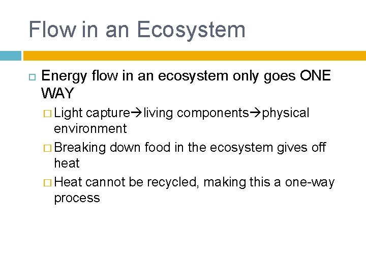 Flow in an Ecosystem Energy flow in an ecosystem only goes ONE WAY �