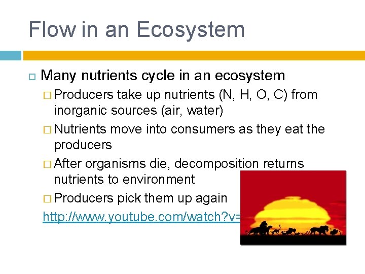 Flow in an Ecosystem Many nutrients cycle in an ecosystem � Producers take up