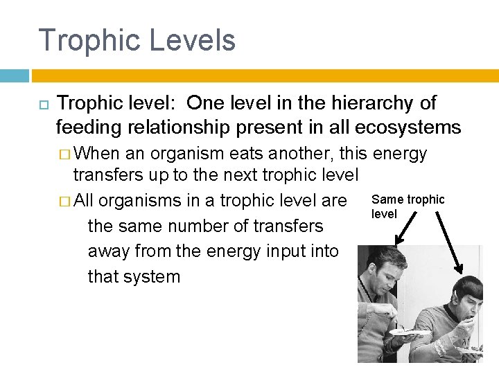 Trophic Levels Trophic level: One level in the hierarchy of feeding relationship present in
