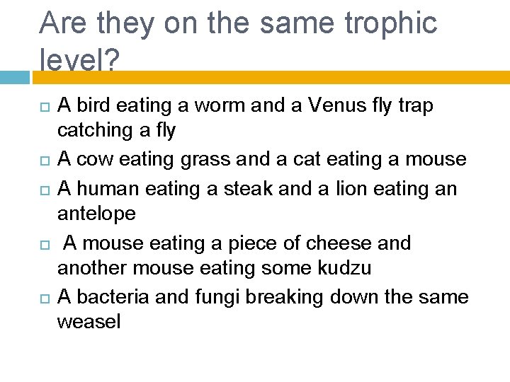 Are they on the same trophic level? A bird eating a worm and a