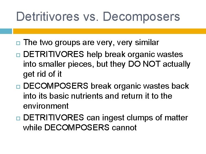Detritivores vs. Decomposers The two groups are very, very similar DETRITIVORES help break organic
