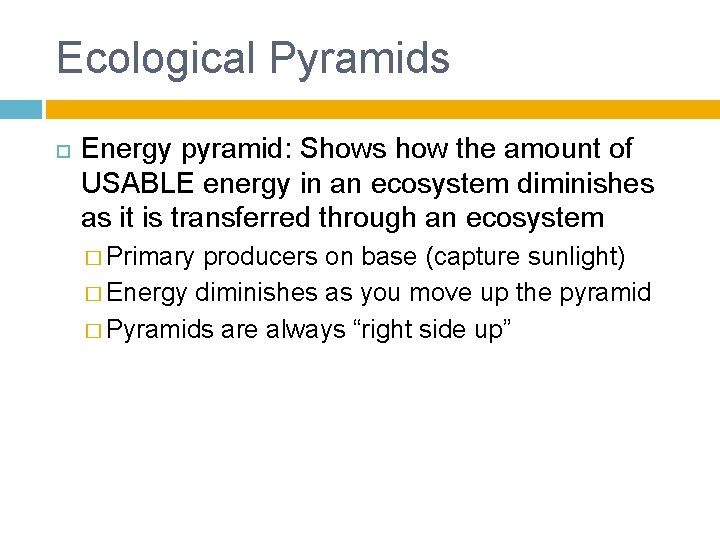 Ecological Pyramids Energy pyramid: Shows how the amount of USABLE energy in an ecosystem