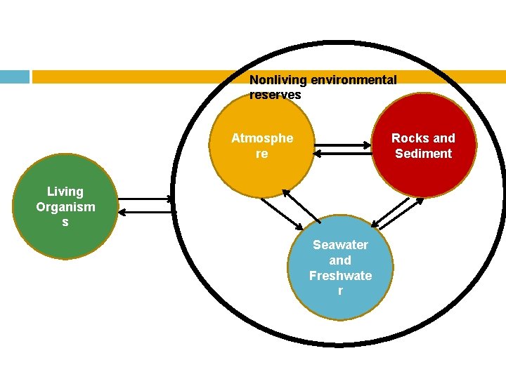 Nonliving environmental reserves Atmosphe re Rocks and Sediment Living Organism s Seawater and Freshwate
