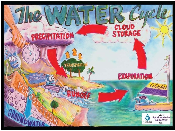 The Water Cycle 