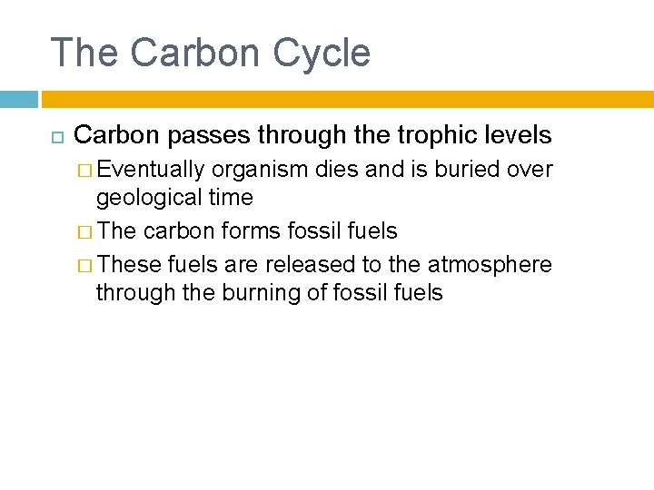 The Carbon Cycle Carbon passes through the trophic levels � Eventually organism dies and