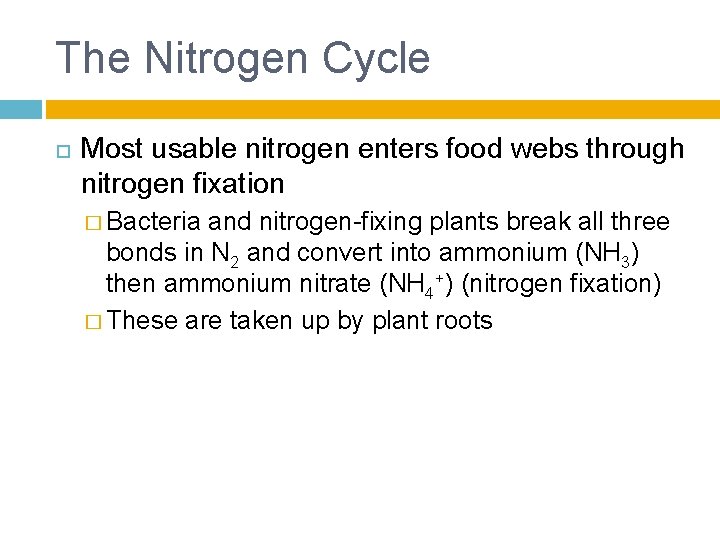 The Nitrogen Cycle Most usable nitrogen enters food webs through nitrogen fixation � Bacteria