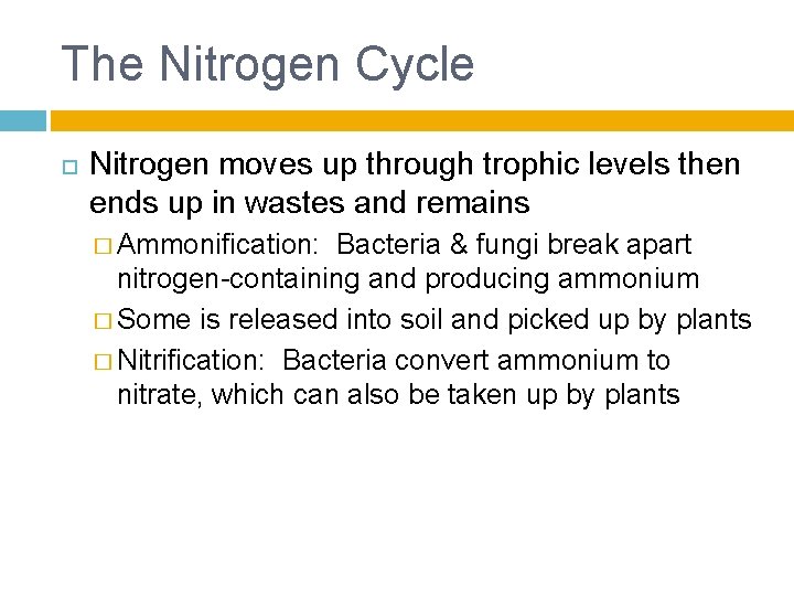 The Nitrogen Cycle Nitrogen moves up through trophic levels then ends up in wastes