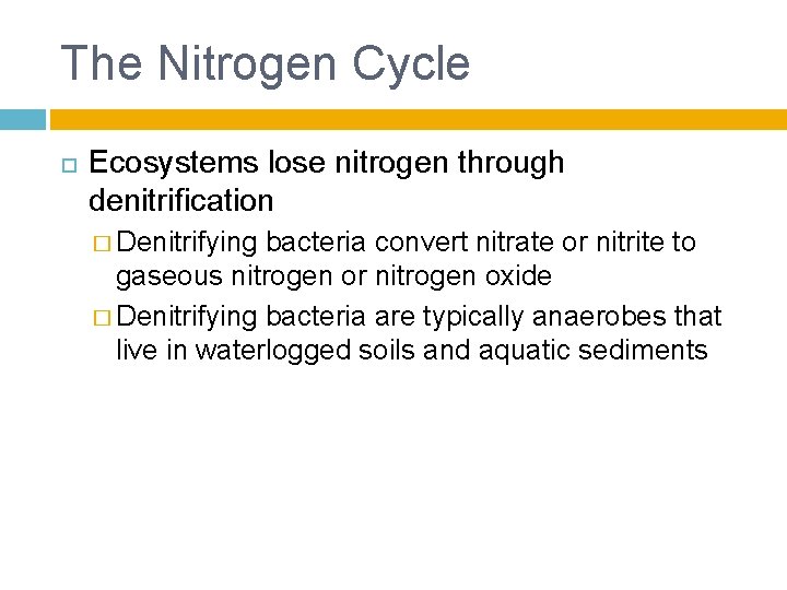 The Nitrogen Cycle Ecosystems lose nitrogen through denitrification � Denitrifying bacteria convert nitrate or
