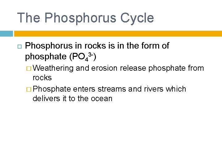 The Phosphorus Cycle Phosphorus in rocks is in the form of phosphate (PO 43