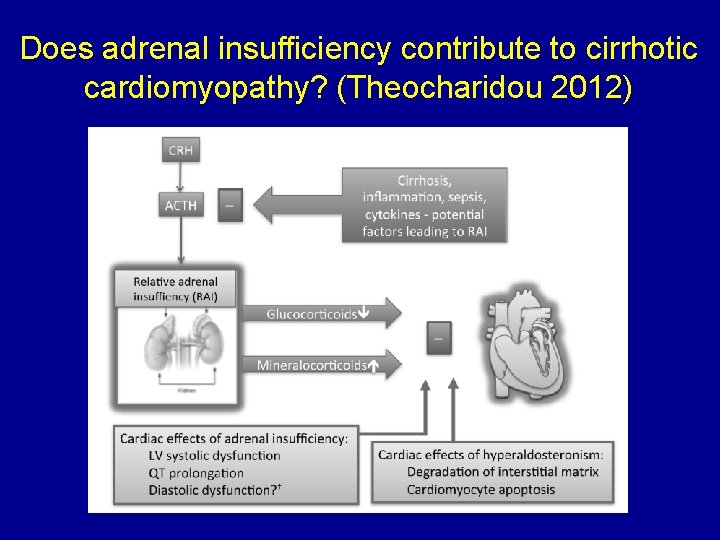 Does adrenal insufficiency contribute to cirrhotic cardiomyopathy? (Theocharidou 2012) 