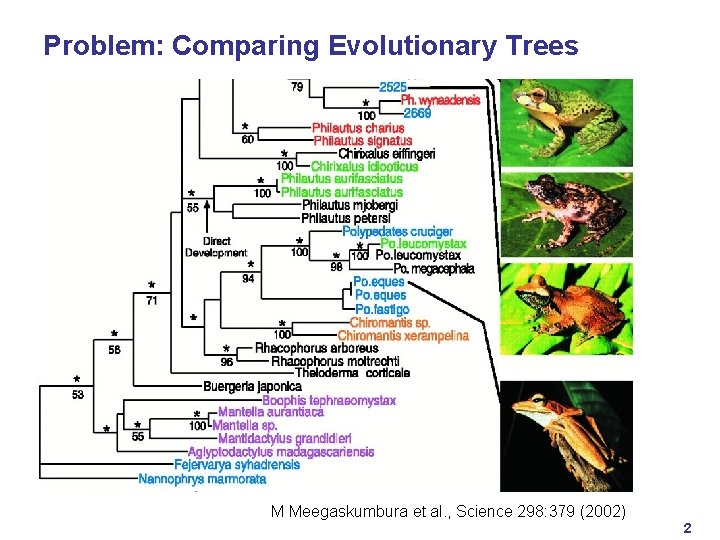 Problem: Comparing Evolutionary Trees M Meegaskumbura et al. , Science 298: 379 (2002) 2