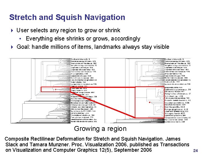 Stretch and Squish Navigation 4 User selects any region to grow or shrink •