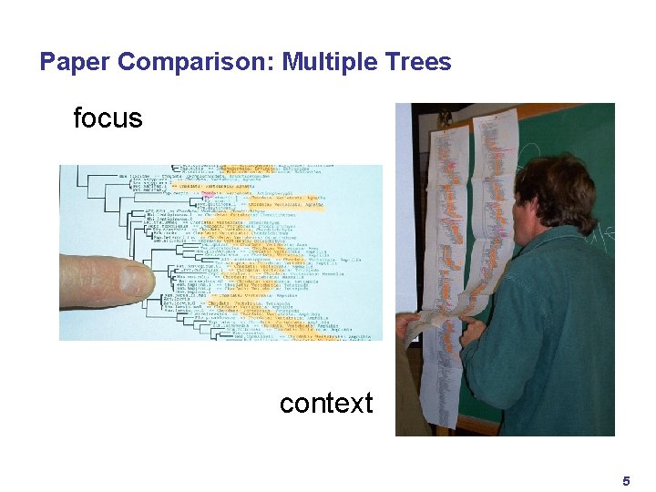 Paper Comparison: Multiple Trees focus context 5 