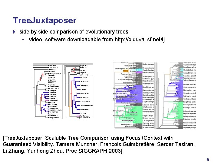 Tree. Juxtaposer 4 side by side comparison of evolutionary trees • video, software downloadable