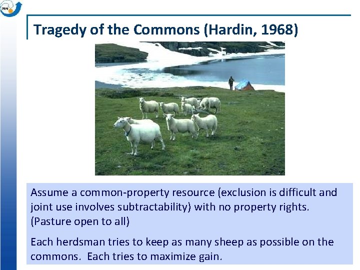 Tragedy of the Commons (Hardin, 1968) Assume a common-property resource (exclusion is difficult and