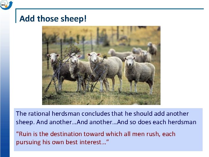 Add those sheep! The rational herdsman concludes that he should add another sheep. And