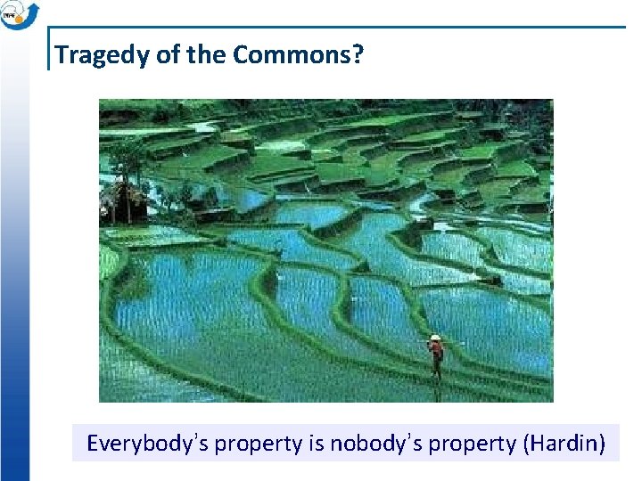 Tragedy of the Commons? Everybody’s property is nobody’s property (Hardin) 