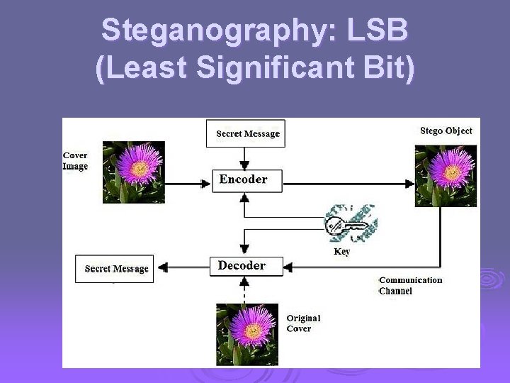 Steganography: LSB (Least Significant Bit) 