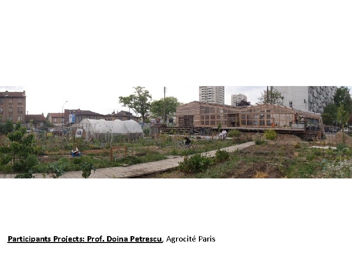 Participants Projects: Prof. Doina Petrescu, Agrocité Paris 