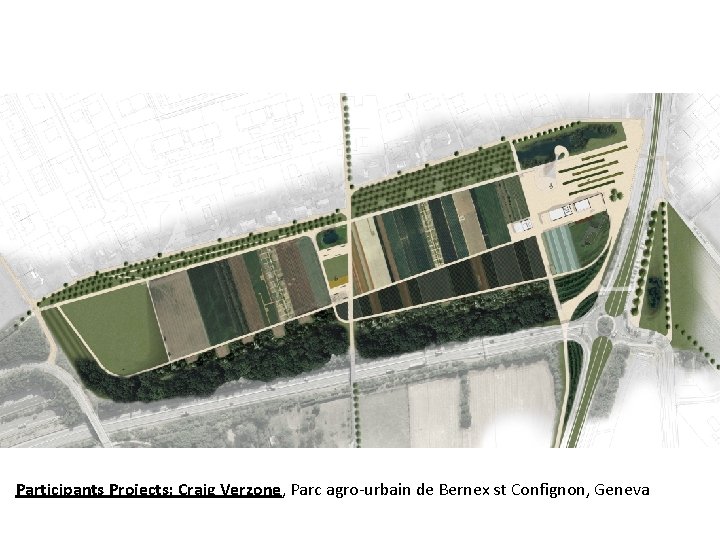 Participants Projects: Craig Verzone, Parc agro-urbain de Bernex st Confignon, Geneva 