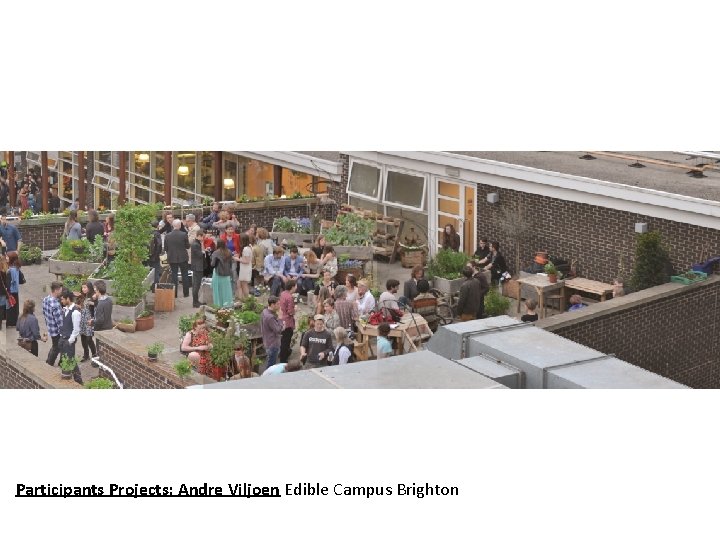 Participants Projects: Andre Viljoen Edible Campus Brighton 