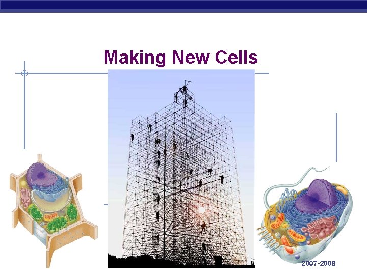 Tour of the Cell 3 AP Biology 2007