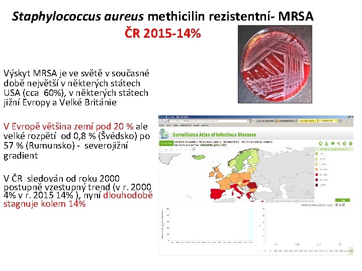 Staphylococcus aureus methicilin rezistentní- MRSA ČR 2015 -14% Výskyt MRSA je ve světě v