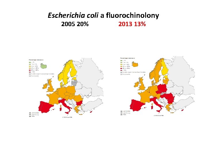 Escherichia coli a fluorochinolony 2005 20% 2013 13% 