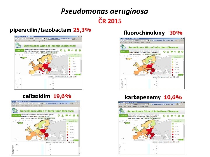 Pseudomonas aeruginosa ČR 2015 piperacilin/tazobactam 25, 3% ceftazidim 19, 6% fluorochinolony 30% karbapenemy 10,