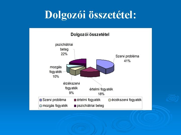 Dolgozói összetétel: 