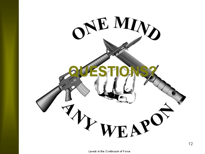 QUESTIONS? 12 Levels in the Continuum of Force 
