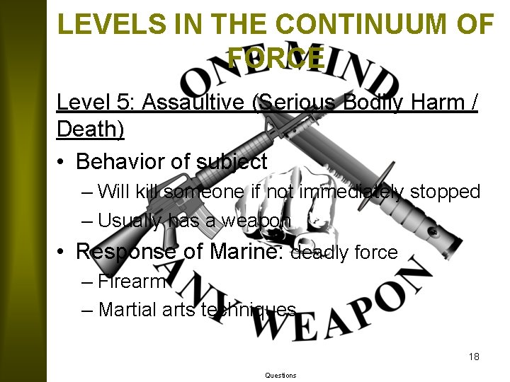 LEVELS IN THE CONTINUUM OF FORCE Level 5: Assaultive (Serious Bodily Harm / Death)