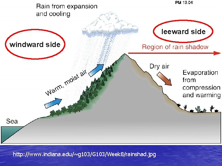 leeward side windward side http: //www. indiana. edu/~g 103/G 103/Week 8/rainshad. jpg 