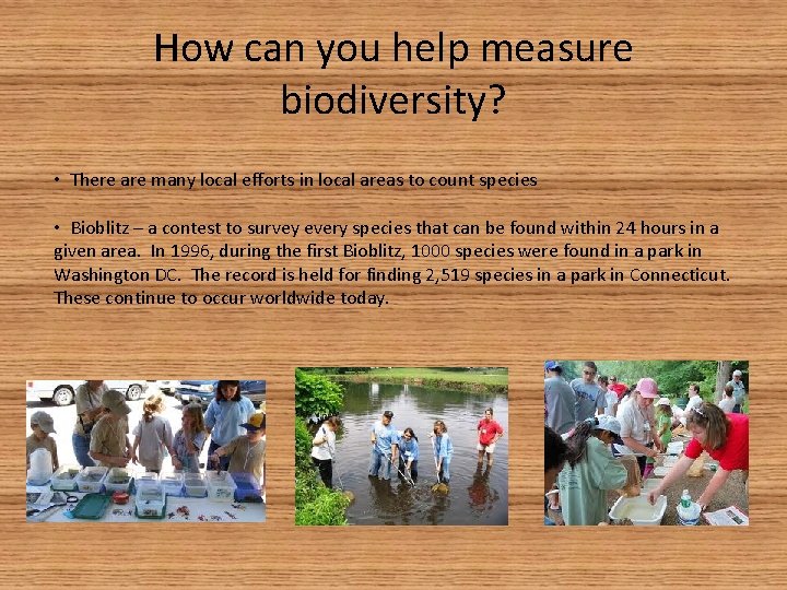 How can you help measure biodiversity? • There are many local efforts in local